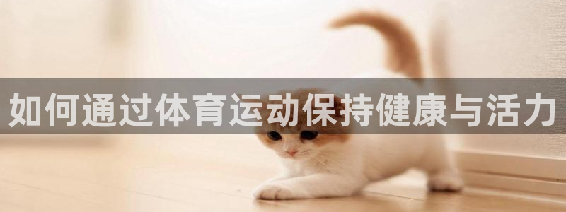 678体育app：如何通过体育运动保持健康与活力