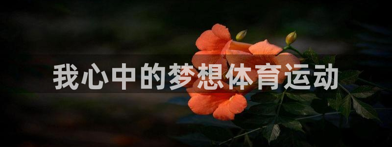 678体育官网下载：我心中的梦想体育运动