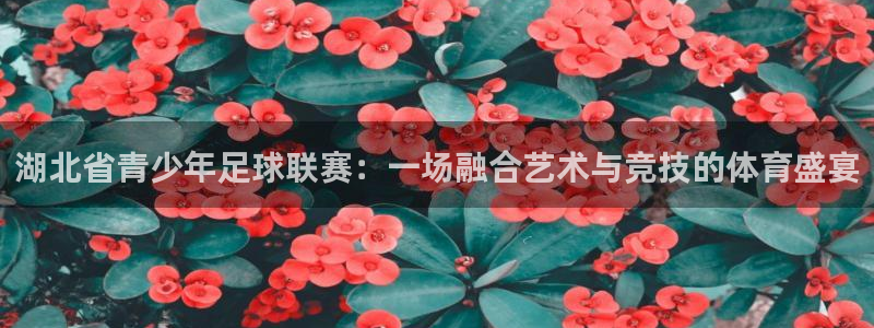 皇冠678体育：湖北省青少年足球联赛：一场融合艺术与竞技的体育盛宴