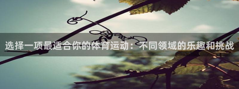 678体育知识：选择一项最适合你的体育运动：不同领域的乐趣和挑战