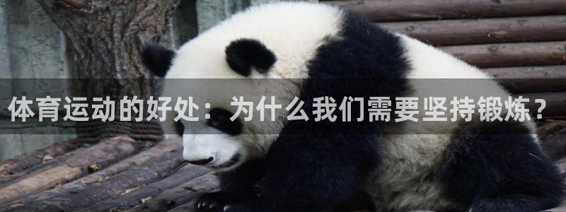 678体育app：体育运动的好处：为什么我们需要坚持锻炼？