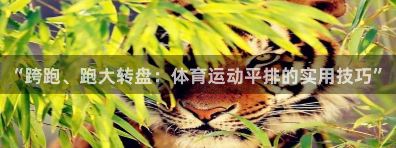 678体育app：“跨跑、跑大转盘：体育运动平排的实用技巧”