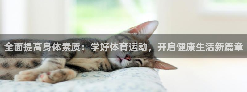 678体育app：全面提高身体素质：学好体育运动，开启健康生活新篇章
