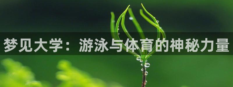 678体育官网下载：梦见大学：游泳与体育的神秘力量